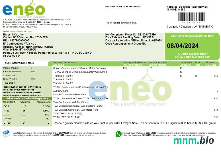 Cameroon ENEO electricity rachunek za usługi komunalne szablon w programie Word